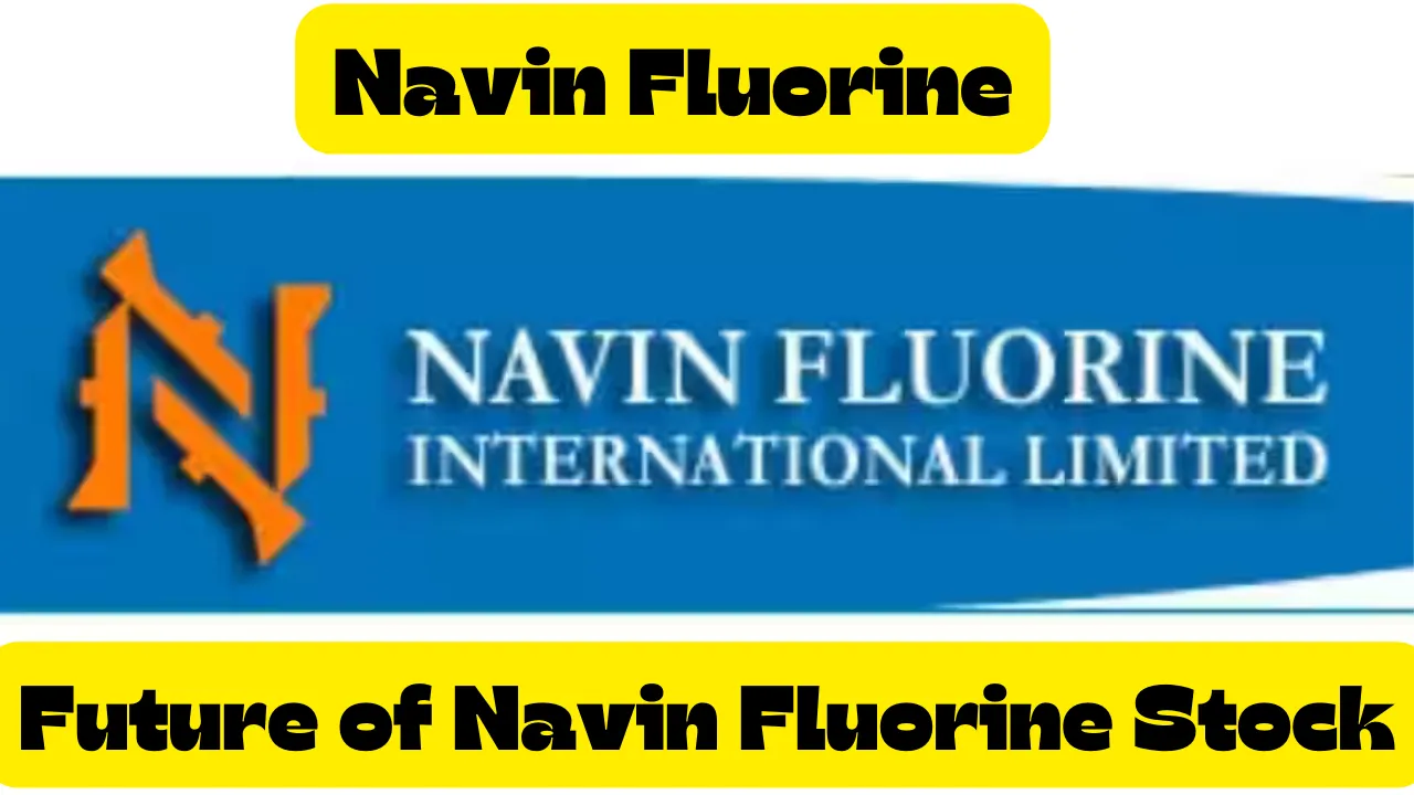 What is the Future of Navin Fluorine Stock?