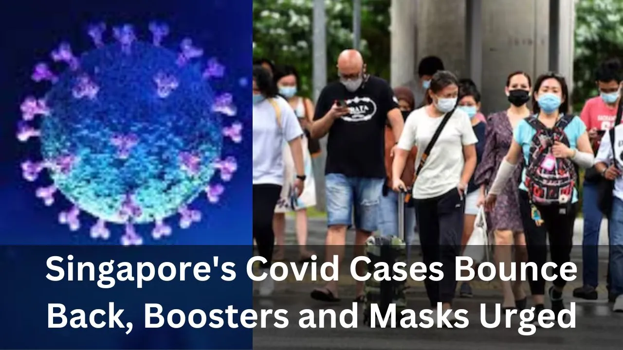 Singapore's Covid Cases Bounce Back, Boosters and Masks Urged